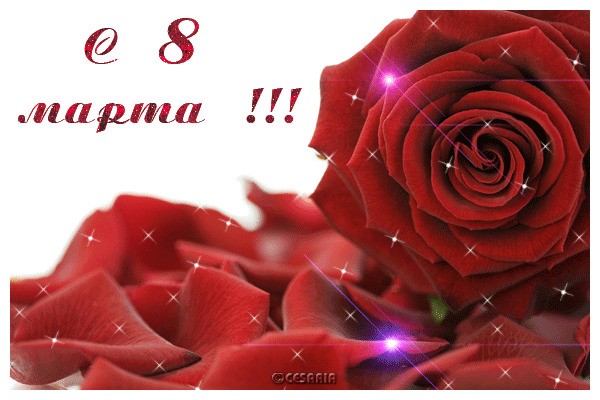 6af6f86df57342c41b6f1e993b2ed2ca