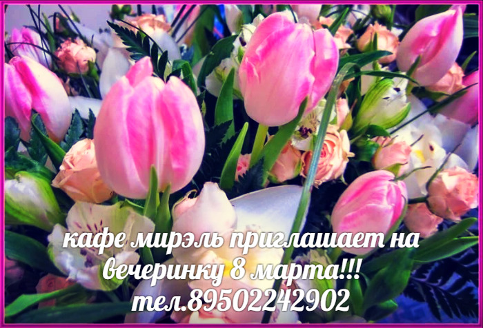 d67d16c904361997a40520b86b096e77