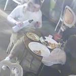 7a45a8efab169ab0b7dcfaa97daa96c5