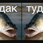 9dcf33fa428f715a530da908bae159ca